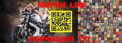 ешки Ногинск